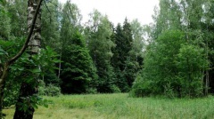Информация об изменениях, которые внесены Федеральным законом №415 в Лесной Кодекс РФ и Кодекс об административных правонарушениях РФ.