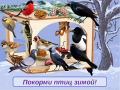 Стартовала экологическая акция «Птичьи истории»