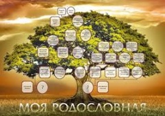 Объявлен всероссийский конкурс семейных генеалогических исследований «Моя родословная»