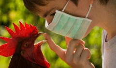 Меры профилактики гриппа птиц