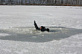 Месячник безопасности «Зимняя рыбалка»  и акция «Безопасный лед»