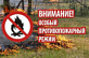 В лесах Архангельской области вновь установлен особый противопожарный режим