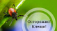 Северодвинский территориальный отдел Управления Роспотребнадзора по Архангельской области информирует