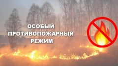 Особый противопожарный режим в лесах
